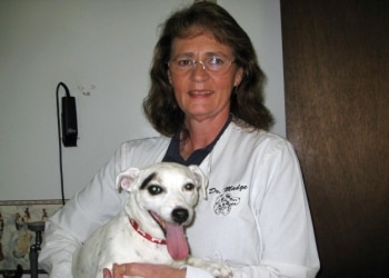 My Vet's the Best finalist Dr. Madge Smith at Smith Veterinary Hospital in Berne, Indiana.